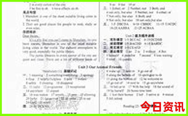 阳西有什么好玩的旅游景点