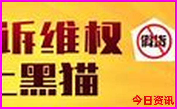 2024年全年开奖记录